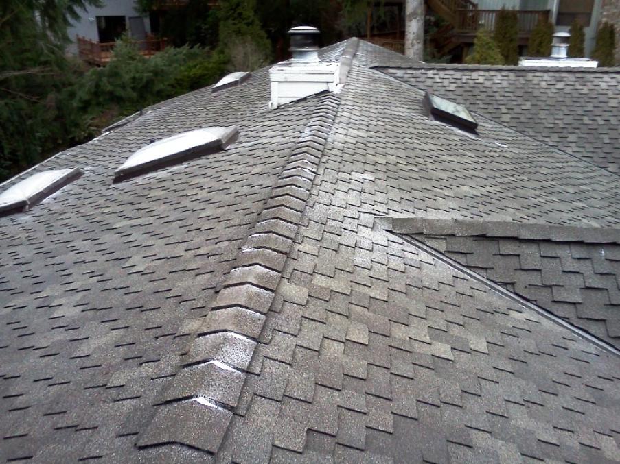 A Fine Reflection, Moss Treatment Service, Seattle Roof Moss Removal, Seattle Gutter Cleaning Service