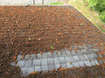 Roof Cleaning, Composition Roof, Gutter Cleaning