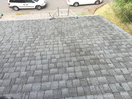 Roof Cleaning, Composition Roof, Gutter Cleaning