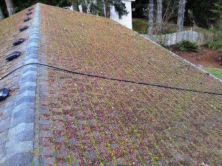 A Fine Reflection Roof Cleaning, Moss Treatment, Gutter Cleaning