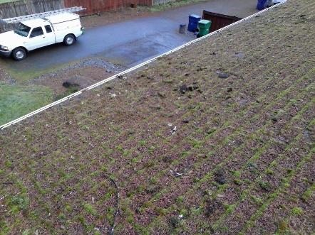 A Fine Reflection Roof Cleaning, Moss Treatment, Gutter Cleaning