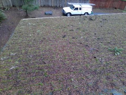 A Fine Reflection Roof Cleaning, Moss Treatment, Gutter Cleaning