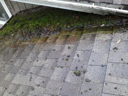 A Fine Reflection Roof Cleaning, Moss Treatment, Gutter Cleaning