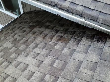 A Fine Reflection Roof Cleaning, Moss Treatment, Gutter Cleaning