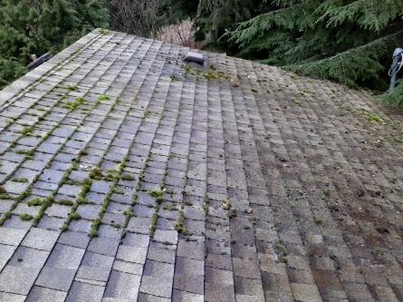 A Fine Reflection Roof Cleaning, Moss Treatment, Gutter Cleaning