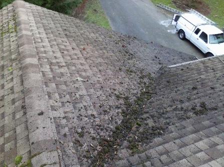 A Fine Reflection Roof Cleaning, Moss Treatment, Gutter Cleaning