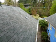 Seattle Window Cleaning, Seattle Roof Cleaning