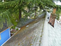 Seattle Window Cleaning, Seattle Roof Cleaning