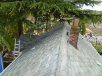 Seattle Window Cleaning, Seattle Roof Cleaning