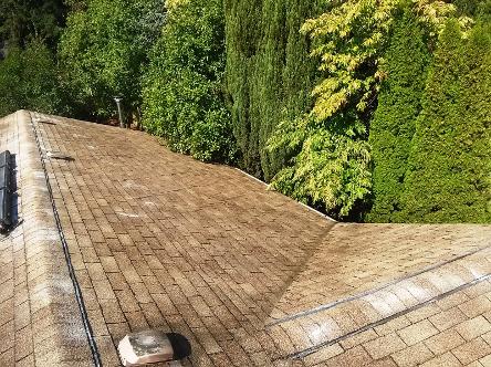 A Fine Reflection Roof Cleaning, Gutter Cleaning, Moss Treatment