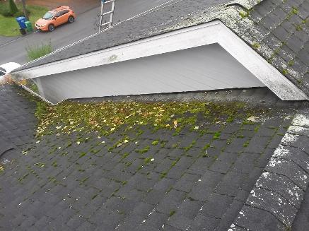 A Fine Reflection - Seattle Window, Gutter, Roof Cleaning