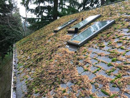 A Fine Reflection Roof Cleaning Service