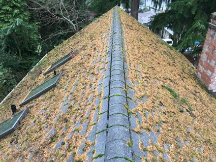 A Fine Reflection Roof Cleaning Service