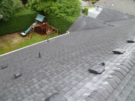 Seattle Window Cleaning, Seattle Roof Cleaning, Seattle Gutter Cleaning