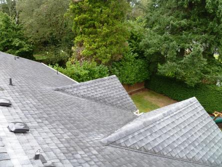 Seattle Window Cleaning, Seattle Roof Cleaning, Seattle Gutter Cleaning