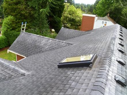 Seattle Window Cleaning, Seattle Roof Cleaning, Seattle Gutter Cleaning