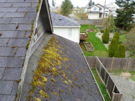 Seattle Roof Cleaning, Pressure Washing