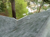 Seattle Window Cleaning, Seattle Roof Cleaning