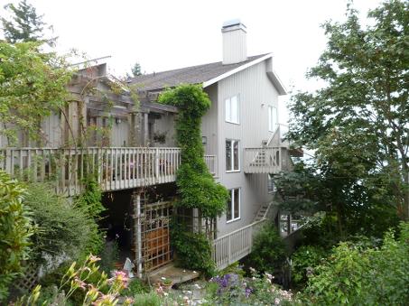 Seattle Window Cleaner 