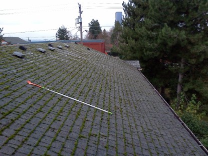 Seattle Window Cleaning, Seattle Roof Cleaning