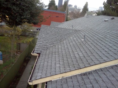 Seattle Window Cleaning, Seattle Roof Cleaning