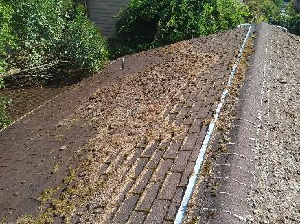 A Fine Reflection - Seattle Window, Gutter, Roof Cleaning