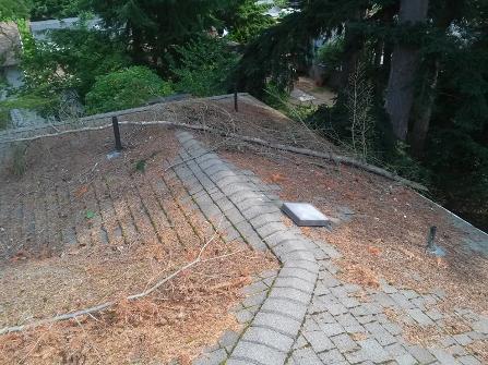 Renton, Bellevue, Redmond and Eastside, roof and window cleaning, gutter cleaning service, moss treatment, pressure washing