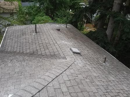 Renton, Bellevue, Redmond and Eastside, roof and window cleaning, gutter cleaning service, moss treatment, pressure washing